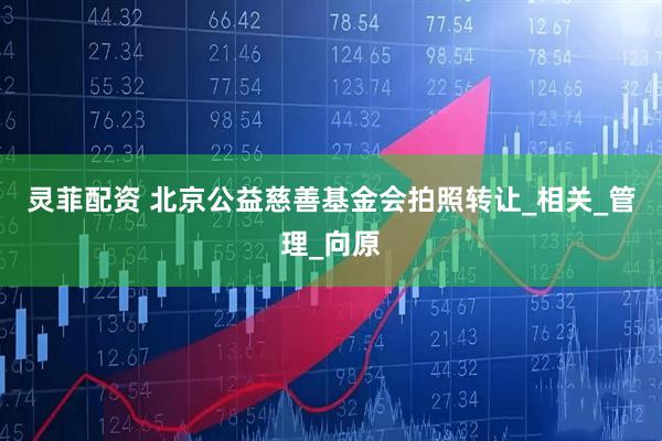 灵菲配资 北京公益慈善基金会拍照转让_相关_管理_向原