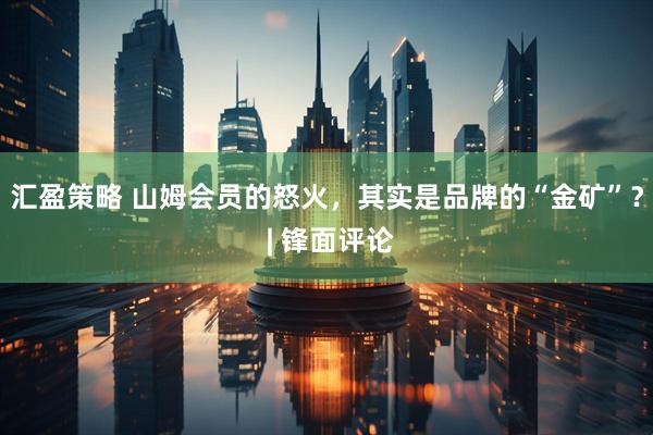 汇盈策略 山姆会员的怒火，其实是品牌的“金矿”？ | 锋面评论