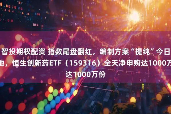智投期权配资 指数尾盘翻红，编制方案“提纯”今日落地，恒生创新药ETF（159316）全天净申购达1000万份